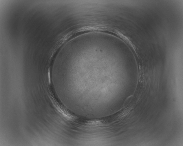 X0000054460061200507291359