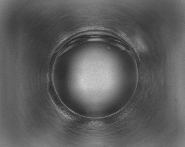 X0000054460063200507291359