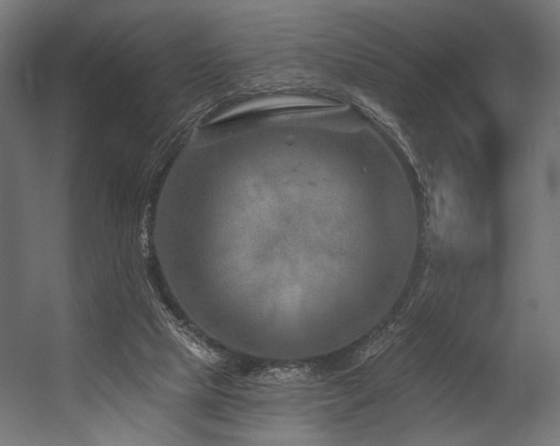 X0000054460065200507291359