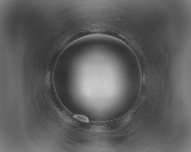 X0000054460066200507291359