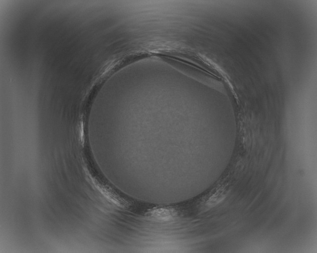 X0000054460067200507291359