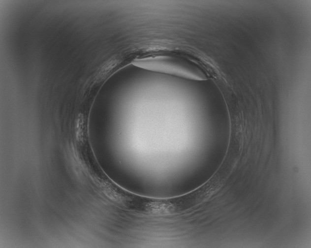 X0000054460073200507291359