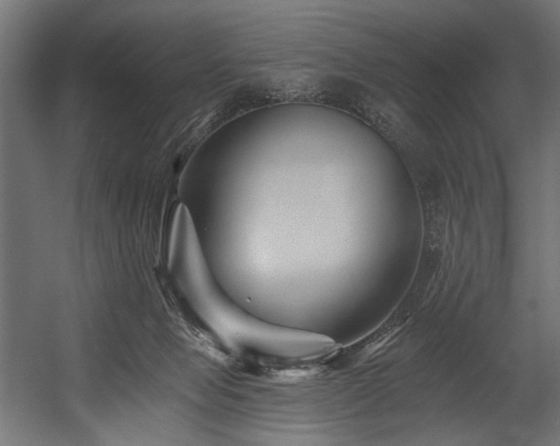 X0000054460077200507291359