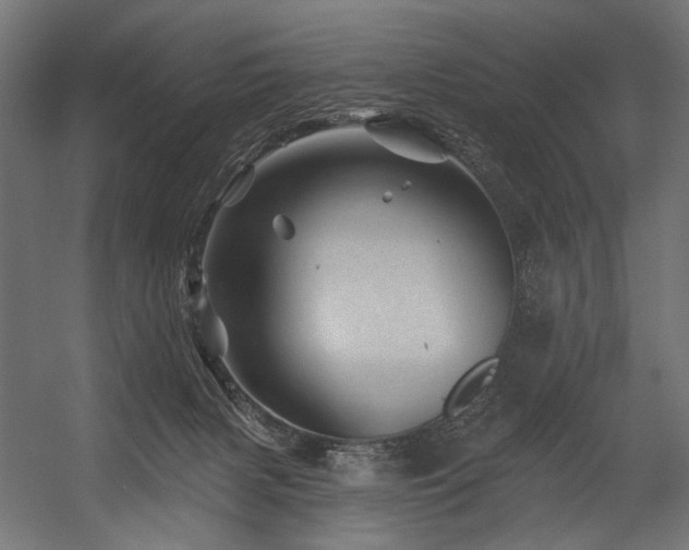 X0000054460079200507291359