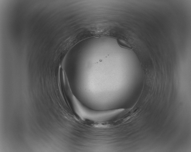 X0000054460085200507291359