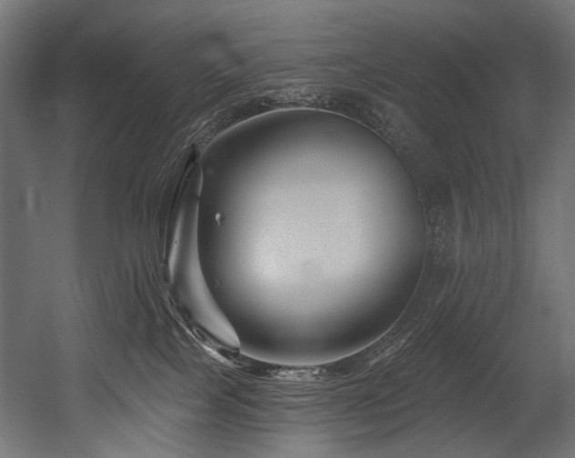 X0000054460089200507291359