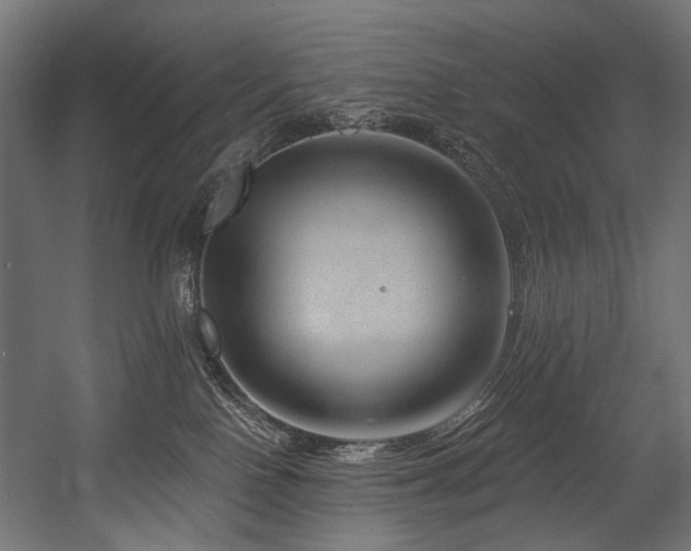 X0000054460090200507291359