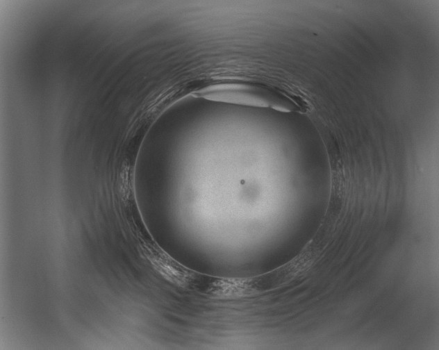 X0000054460093200507291359