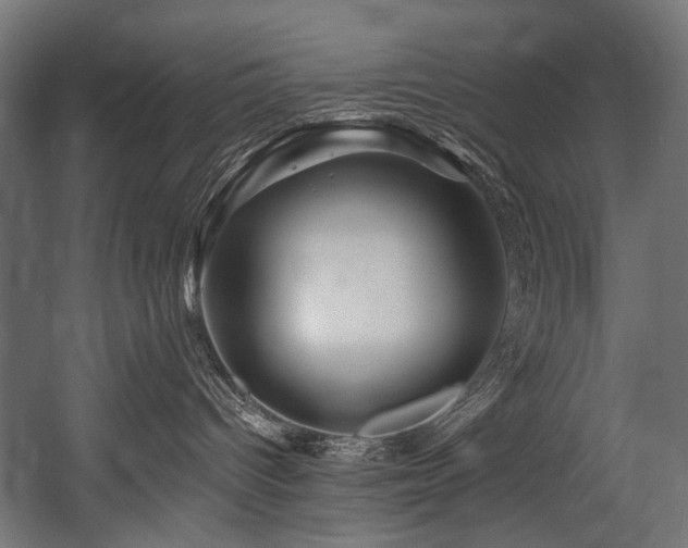 X0000054460096200507291400