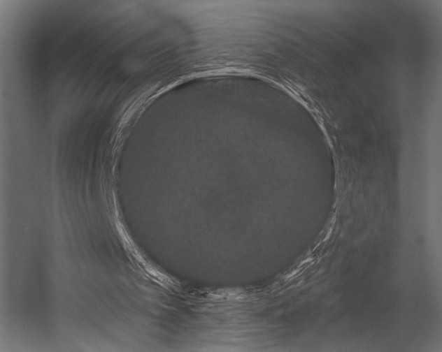 X0000054460097200507291359