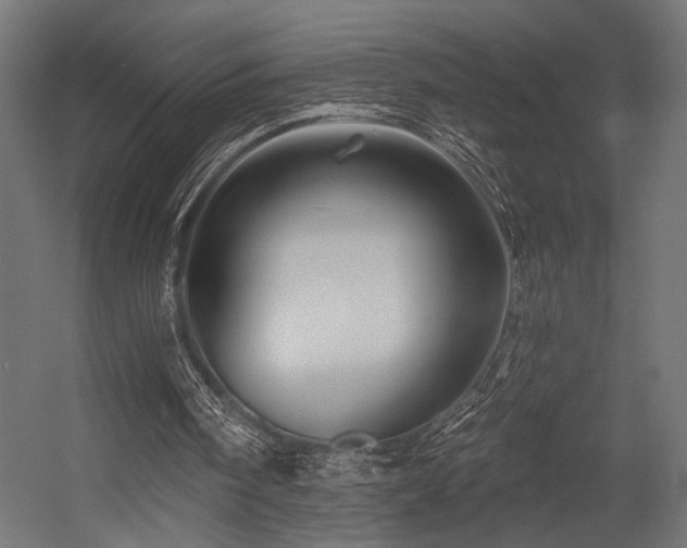 X0000054460098200507291359