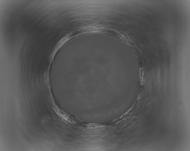 X0000054460099200507291359