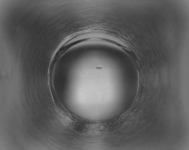 X0000054460100200507291359