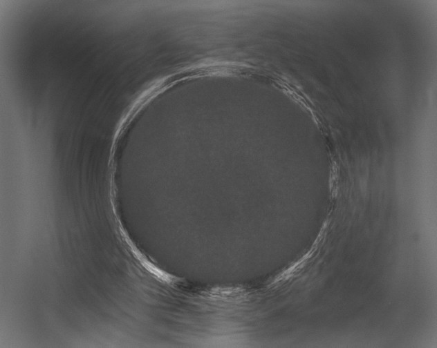 X0000054460101200507291359