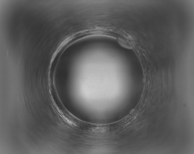 X0000054460102200507291359