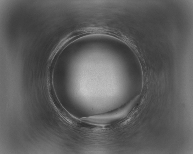 X0000054460103200507291359