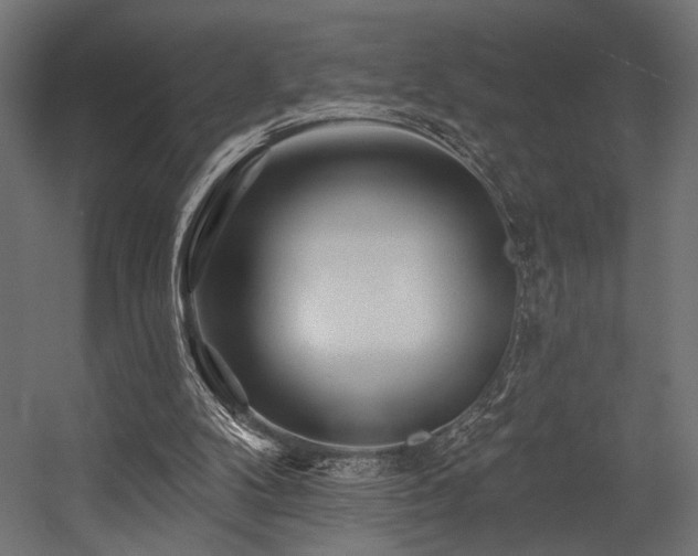 X0000054460104200507291359