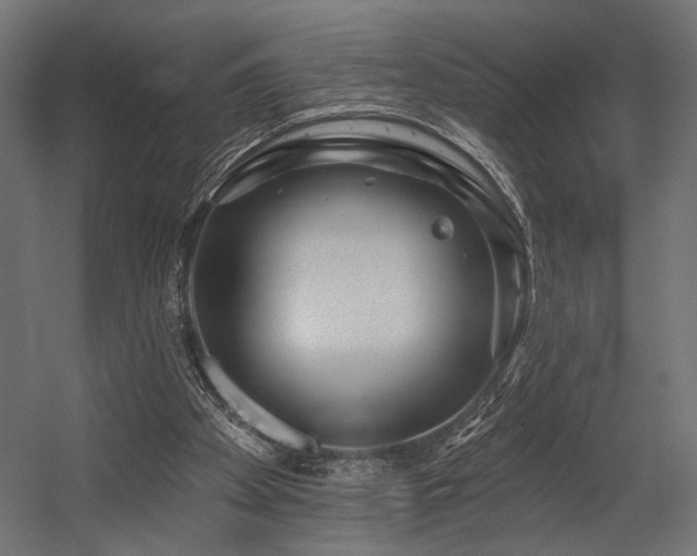 X0000054460105200507291359