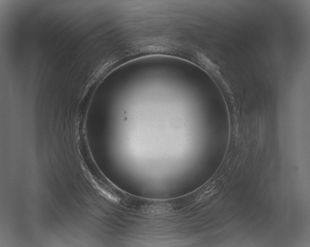 X0000054460106200507291359