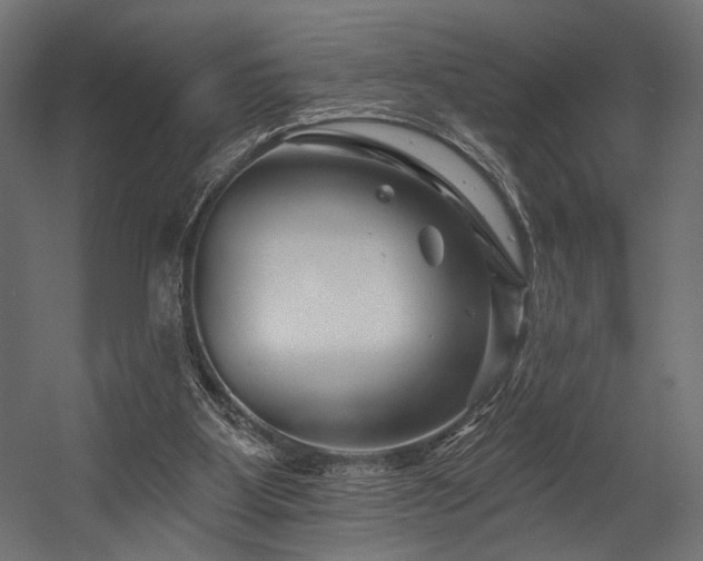 X0000054460107200507291359