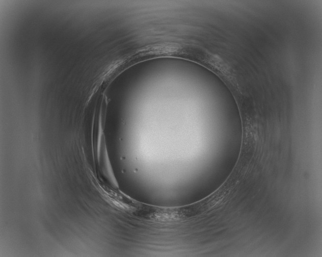 X0000054460110200507291358