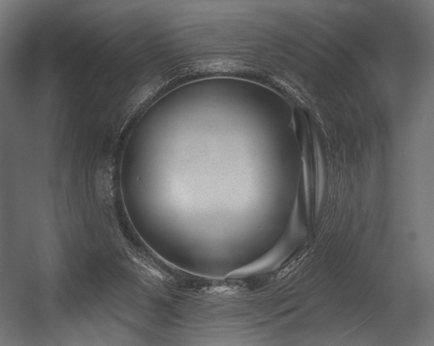 X0000054460111200507291358