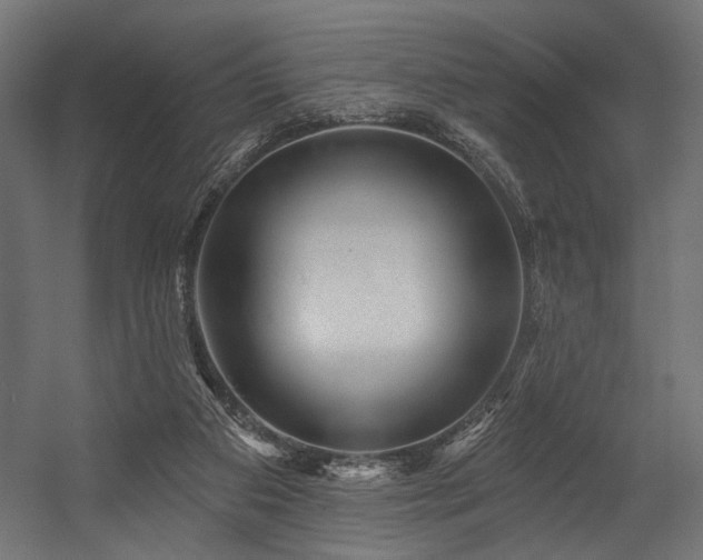 X0000054460113200507291358