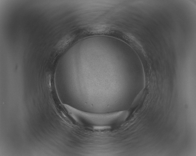 X0000054460115200507291358