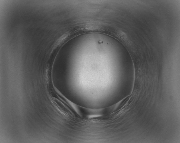 X0000054460116200507291358