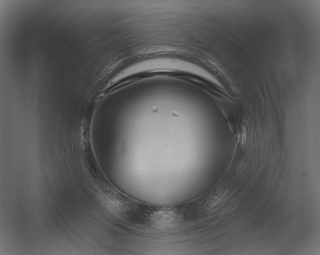 X0000054460119200507291358