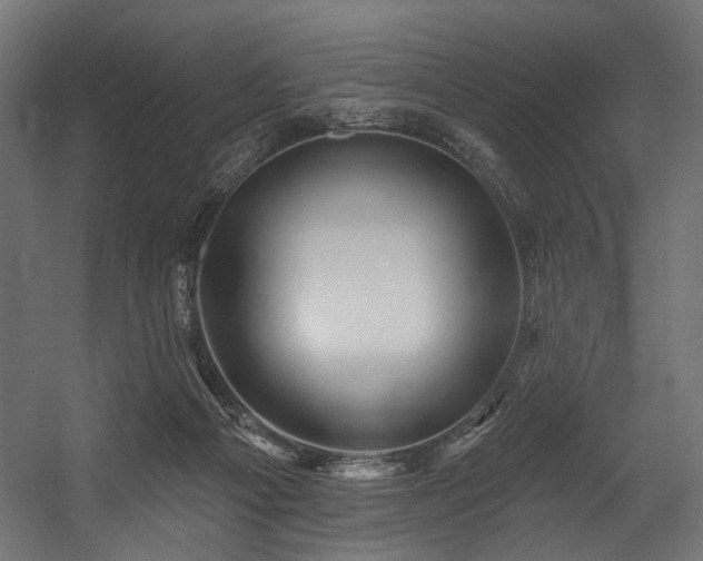 X0000054460121200507291358