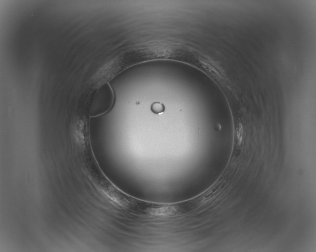 X0000054460122200507291358