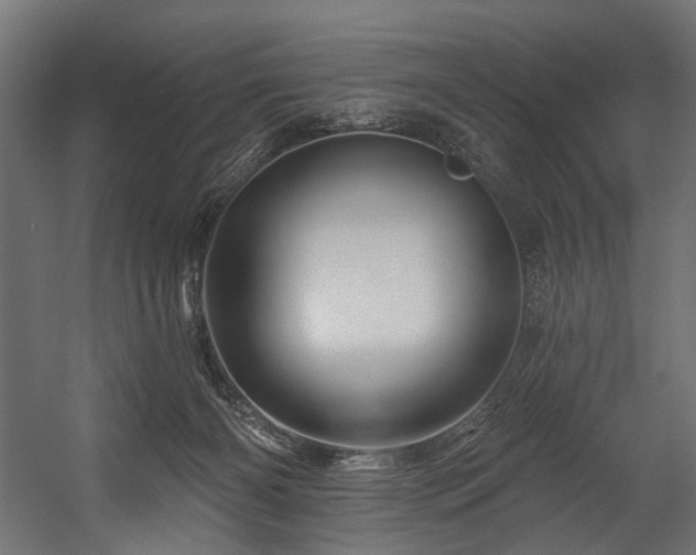 X0000054460126200507291358