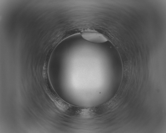 X0000054460130200507291358