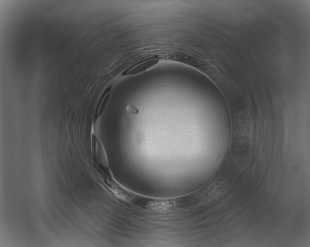 X0000054460131200507291358