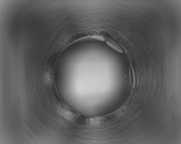 X0000054460134200507291358