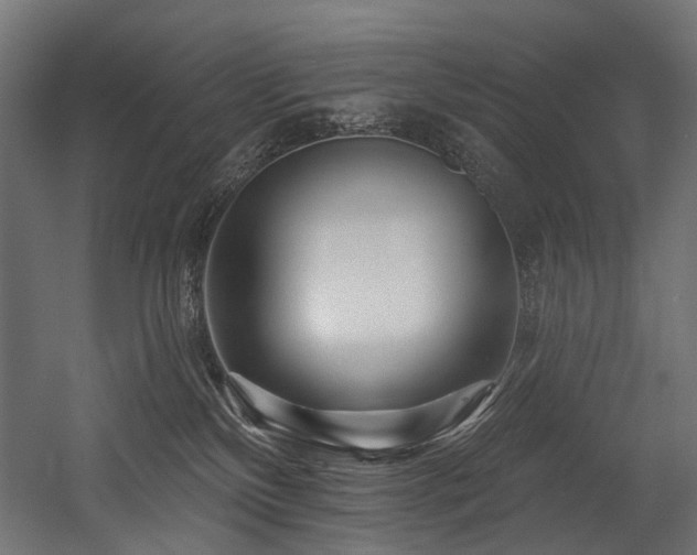 X0000054460136200507291358