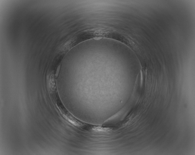 X0000054460137200507291358