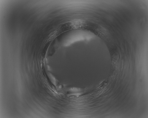 X0000054460139200507291358