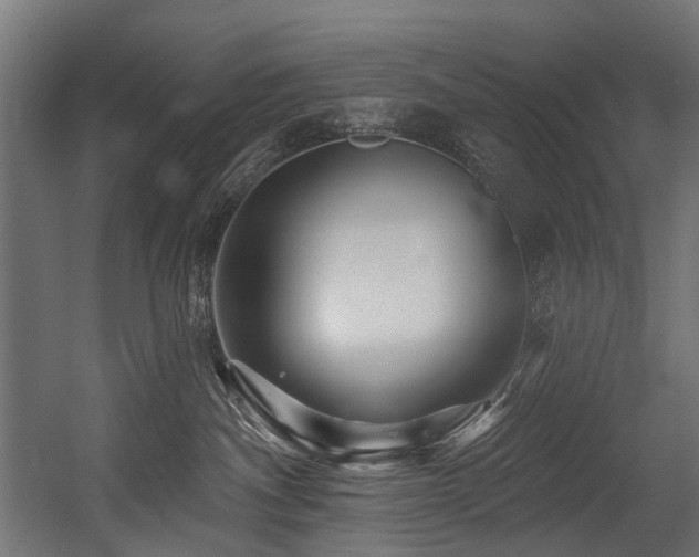 X0000054460140200507291358