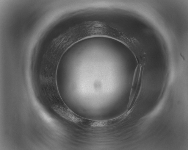 X0000054460142200507291358