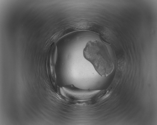 X0000054460143200507291358