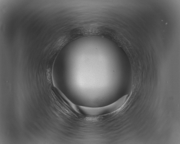 X0000054460144200507291358