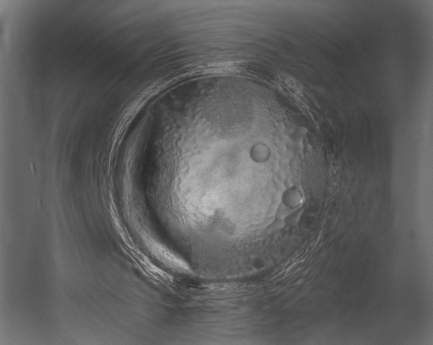 X0000054460145200507291357