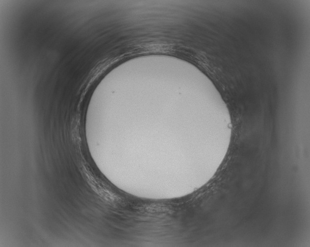 X0000054460146200507291357