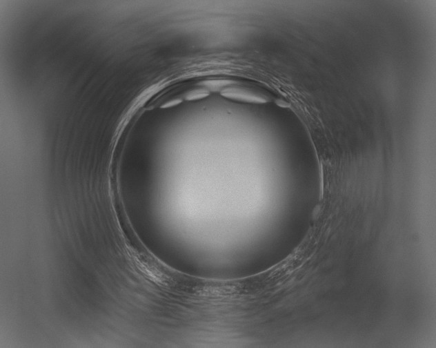 X0000054460147200507291357