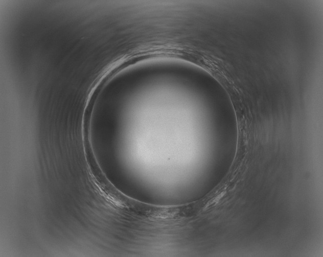 X0000054460148200507291357