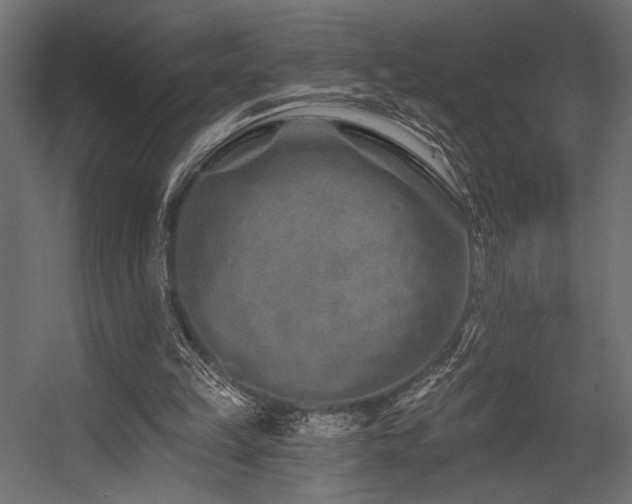 X0000054460149200507291357