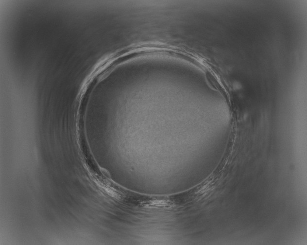 X0000054460151200507291357