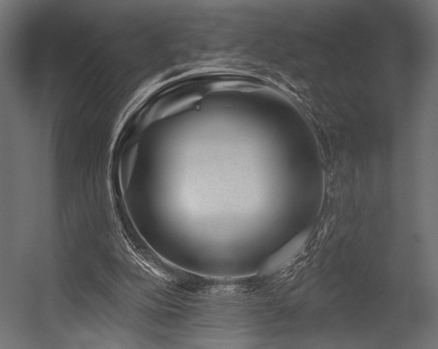 X0000054460152200507291357